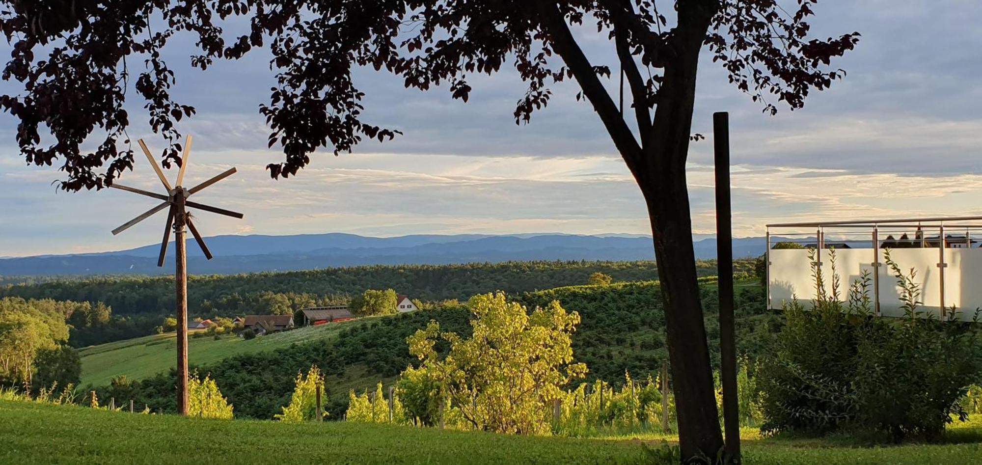 Weinhof Reichmann Bed & Breakfast Sankt Peter am Ottersbach Eksteriør bilde