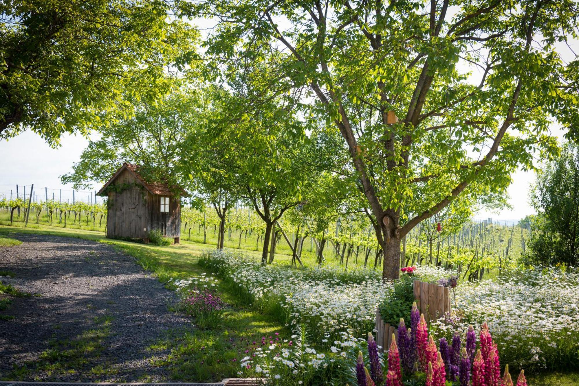 Weinhof Reichmann Bed & Breakfast Sankt Peter am Ottersbach Eksteriør bilde